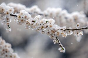 Дощ, мокрий сніг і заморозки: погода на понеділок