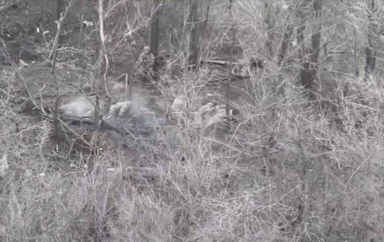 Двоє бійців ЗСУ взяли в полон вісьмох окупантів