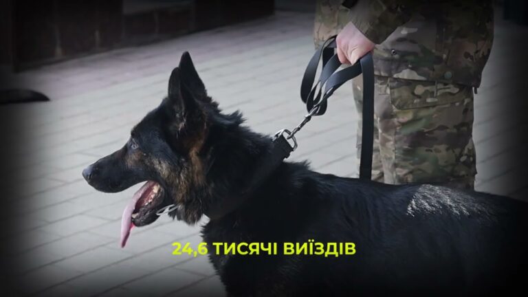 Майже 900 службових собак: як працює кінологічна служба Нацполіції