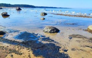 Під атакованою Усть-Лугою виявили величезну нафтову пляму – ЗМІ