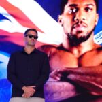 Поєдинок Джошуа і Ф&rsquo;юрі: з&rsquo;явилися нові подробиці