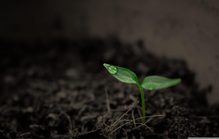 Суперкомп&rsquo;ютер NASA назвав приблизну дату кінця життя на Землі