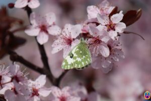 Свята 27 квітня 2026: іменини, заборони, факти