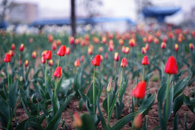 Українців попередили про похолодання