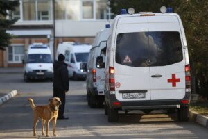 В Росії щонайменше у 16 регіонах фіксують осередки сказу – ЗМІ