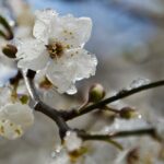 В Україні прогнозують подальше похолодання