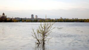 В Укренерго скасували відключення на понеділок