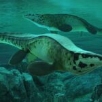Другий Т. Рекс: Американські вчені дали ім’я нововиявленому хижаку