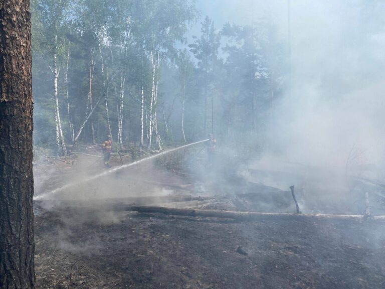 Російські дрони знову підпалили зону відчуження