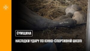 Суми: рятувальники ліквідували наслідки російського удару по території кінно-спортивної школи