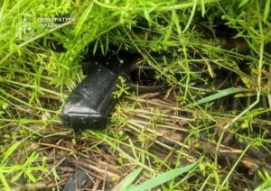 У Києві затримано іноземця за підозрою у вбивстві двох людей на СТО