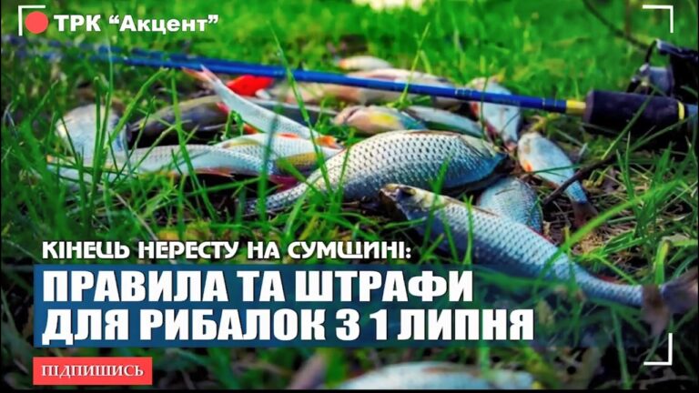 Рибальський сезон відкрито: що необхідно знати рибалкам