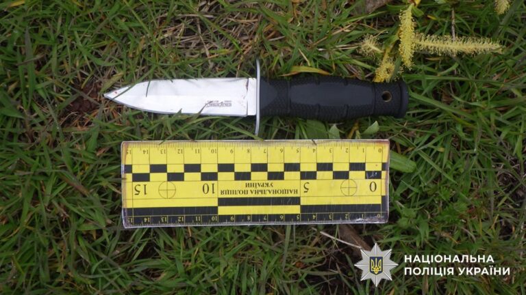 Киянину загрожує вісім років за бійку у парку