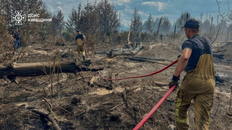 Масштабні пожежі в Чорнобильській зоні: що кажуть рятувальники