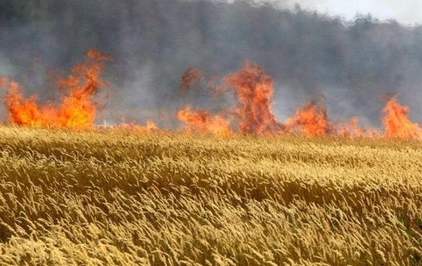 На Запоріжжі через обстріли знищено понад 1800 гектарів посівів