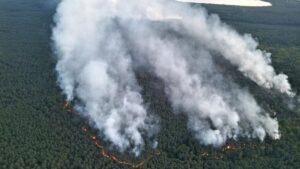 У Німеччині горить ліс на полігоні: детонують боєприпаси