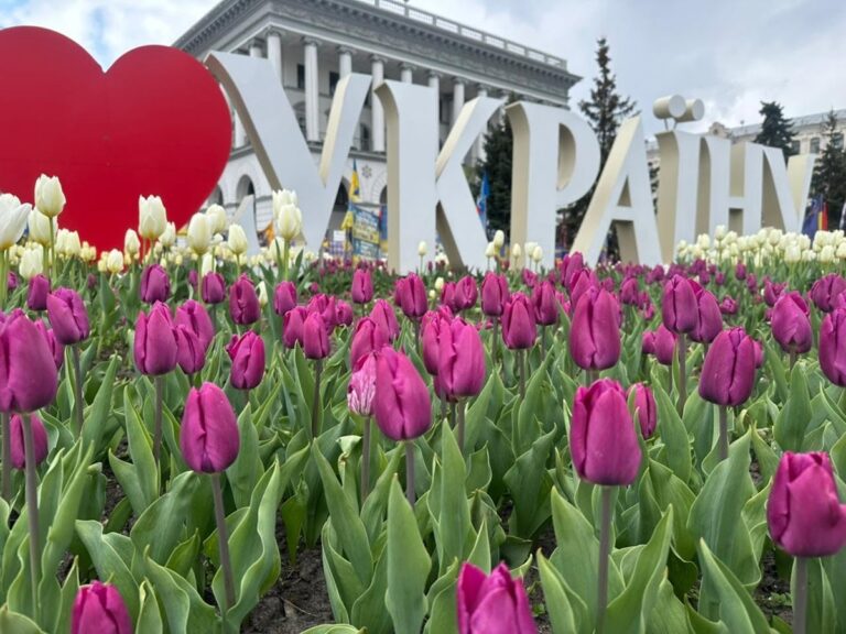 В Україні перевірили понад 99% назв вулиць у новому реєстрі адрес