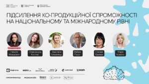 Strengthening Co-Production Capacity at the National and International Level