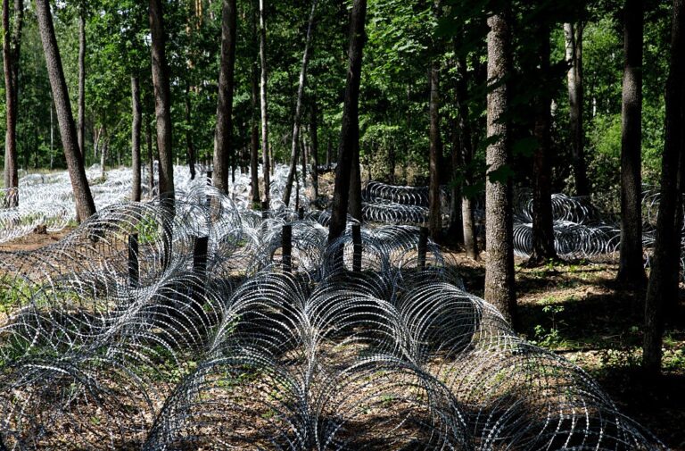У ДПСУ оцінили загрозу нового підрозділу Білорусі